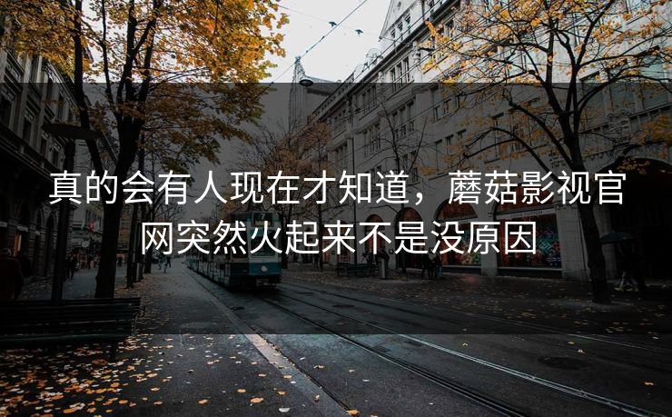 真的会有人现在才知道，蘑菇影视官网突然火起来不是没原因  第1张