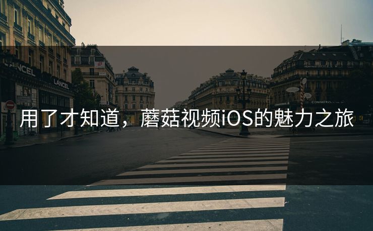 用了才知道,蘑菇视频iOS的魅力之旅 第1张 用了才知道,蘑菇视频iOS的魅力之旅 第1张