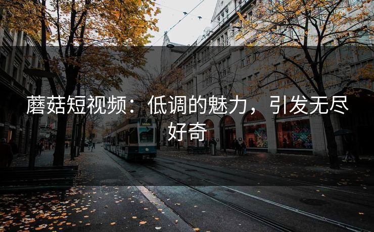 蘑菇短视频：低调的魅力，引发无尽好奇