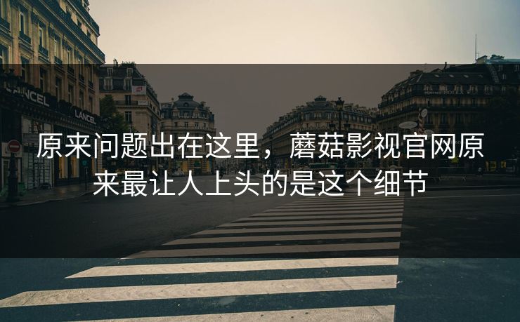 原来问题出在这里，蘑菇影视官网原来最让人上头的是这个细节  第1张