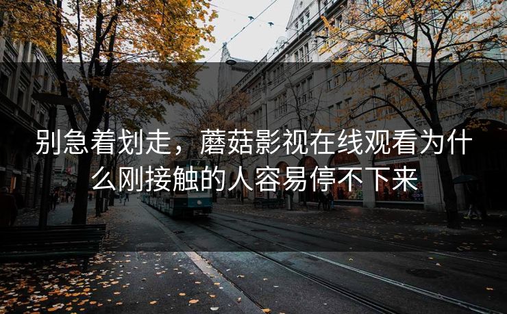 别急着划走，蘑菇影视在线观看为什么刚接触的人容易停不下来  第1张