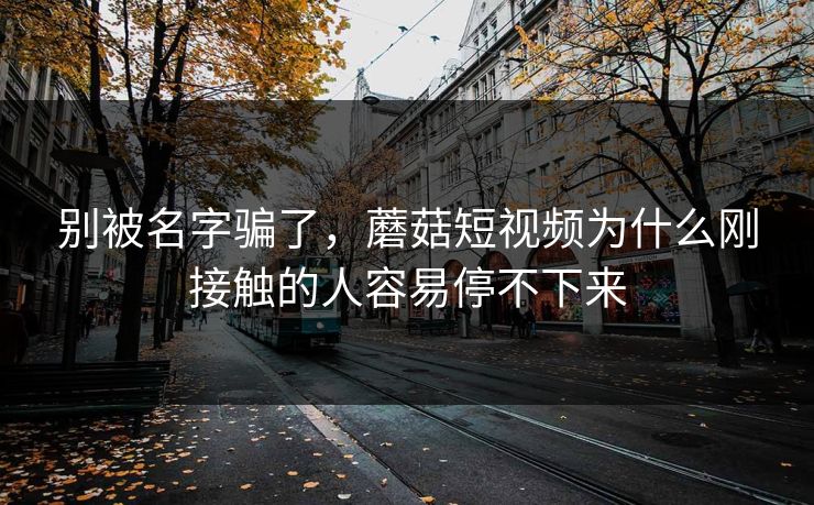 别被名字骗了，蘑菇短视频为什么刚接触的人容易停不下来  第1张
