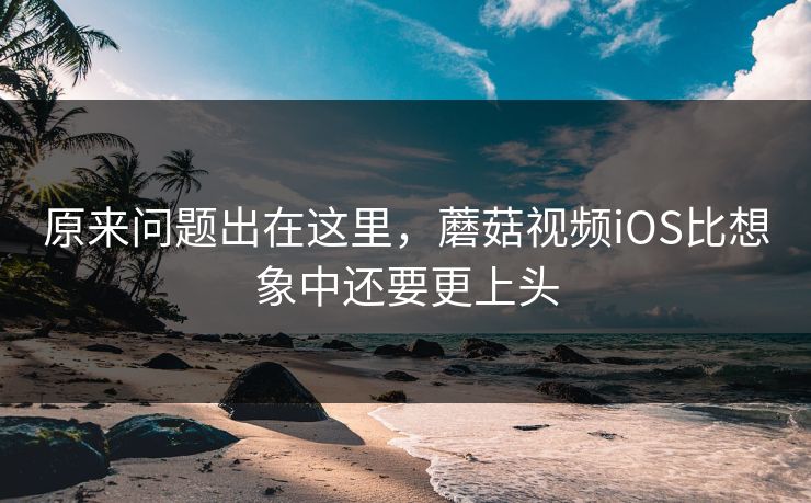 原来问题出在这里，蘑菇视频iOS比想象中还要更上头  第1张
