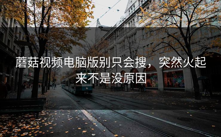 蘑菇视频电脑版别只会搜，突然火起来不是没原因  第1张