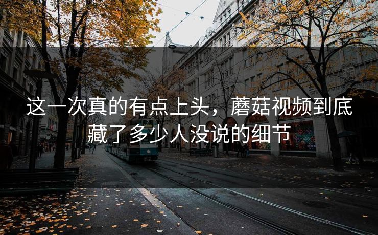 这一次真的有点上头，蘑菇视频到底藏了多少人没说的细节  第1张