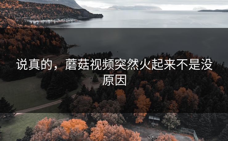 说真的，蘑菇视频突然火起来不是没原因  第1张