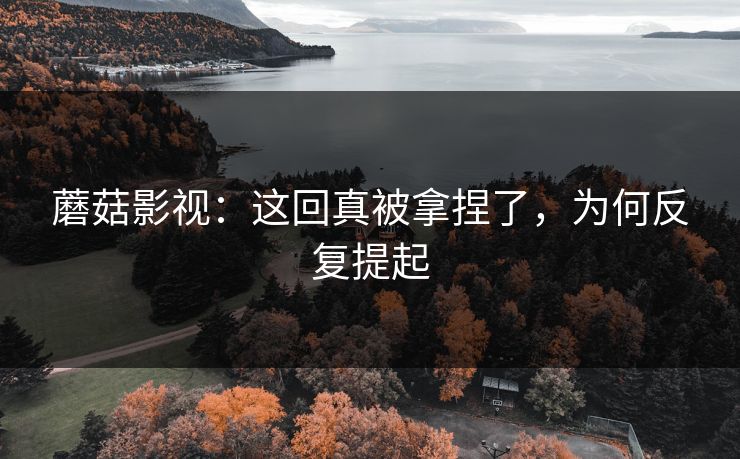 蘑菇影视：这回真被拿捏了，为何反复提起  第1张