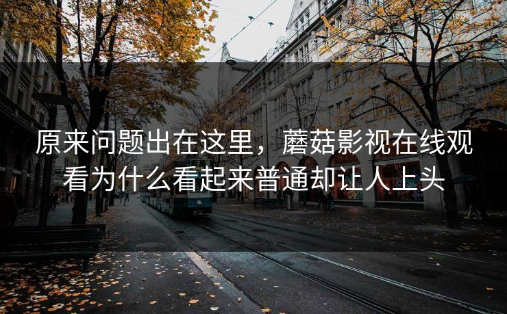原来问题出在这里，蘑菇影视在线观看为什么看起来普通却让人上头