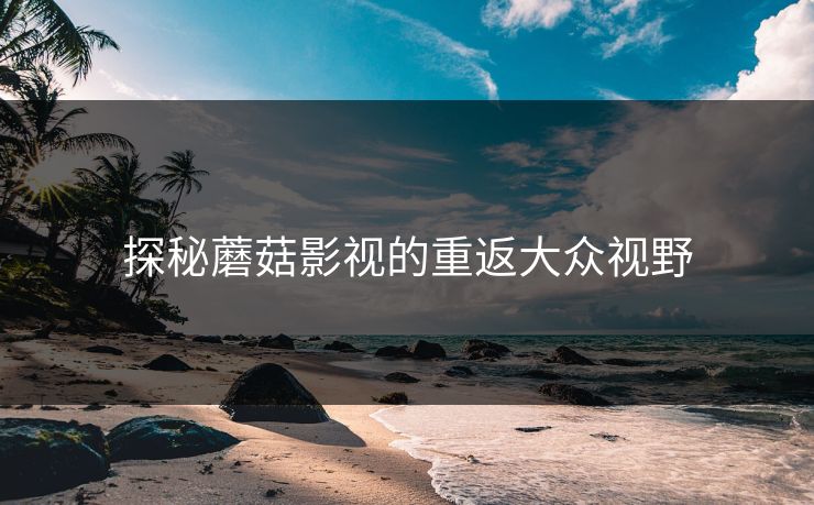 探秘蘑菇影视的重返大众视野  第1张